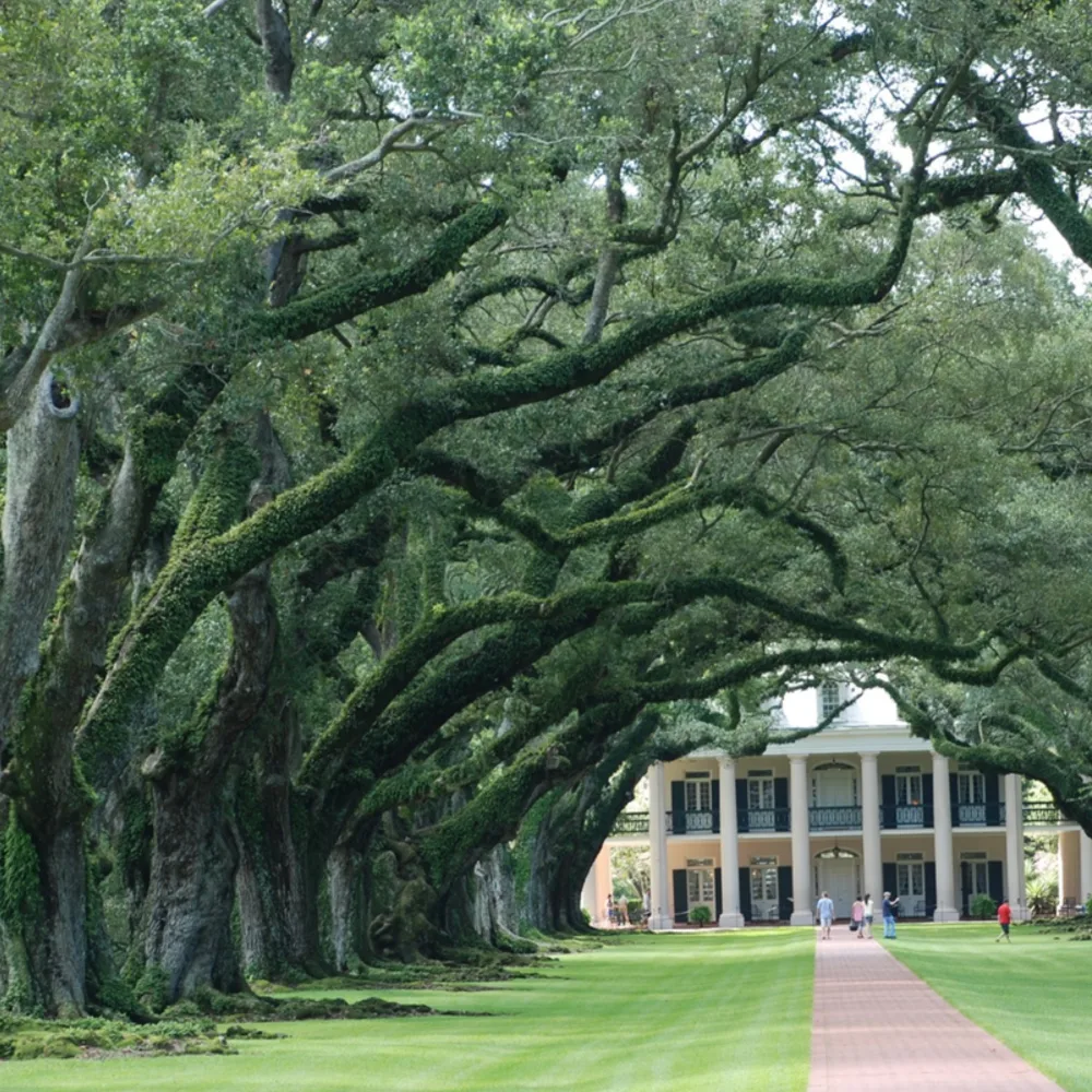 Galería Ruta de la música 2026