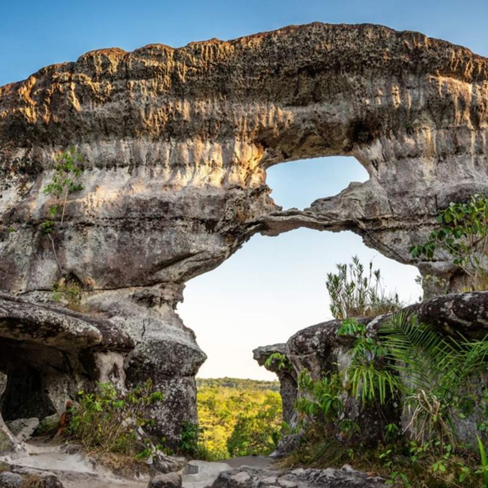 Galería Plan Eco Guaviare