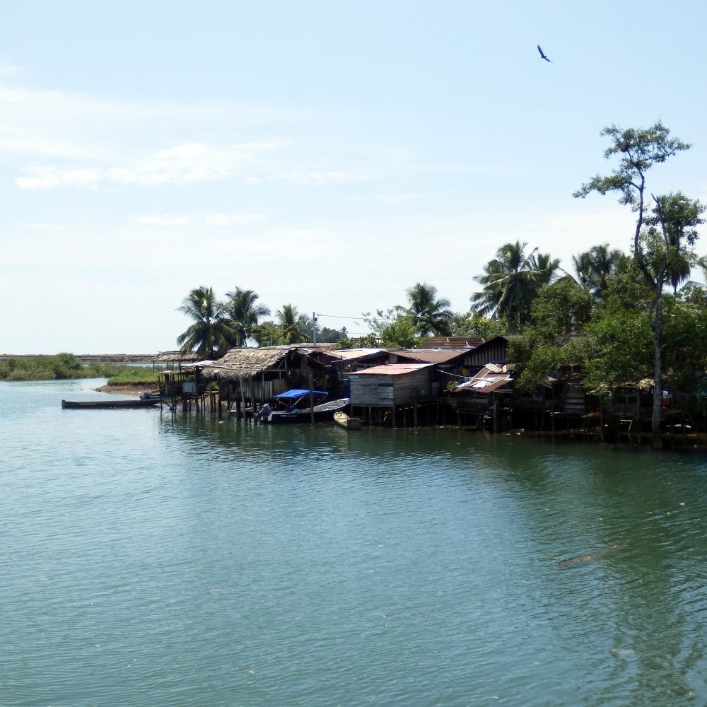 Galería Aventura en Bahía Solano | Avistamiento de Ballenas