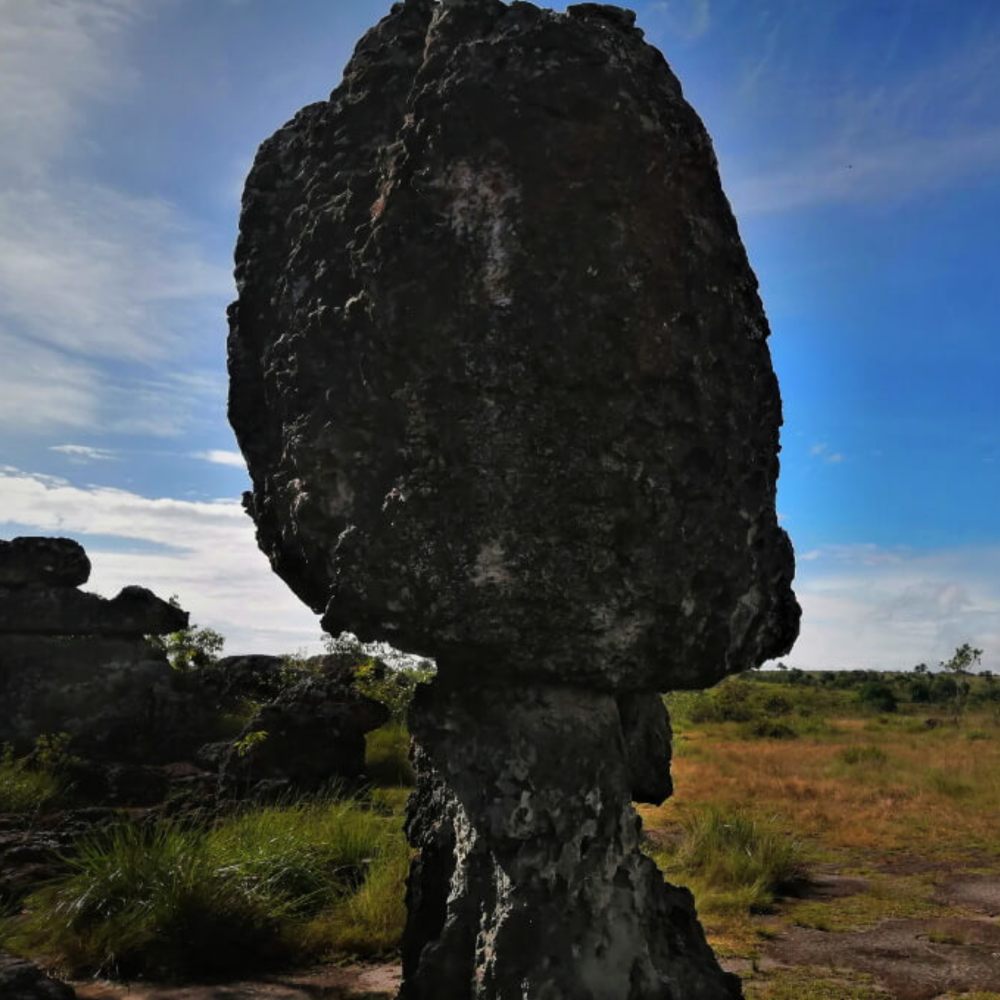 Galería Plan Eco Guaviare