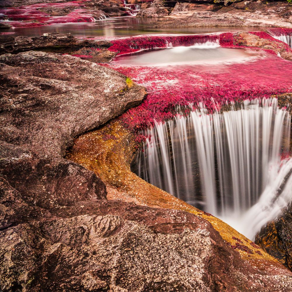 Galería Caño Cristales