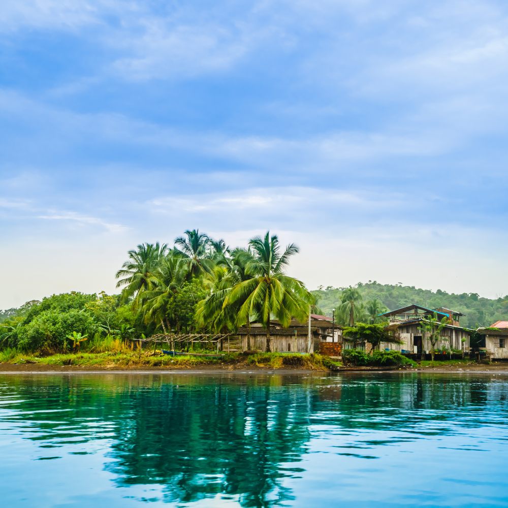 Galería Emocionante Avistamiento de ballenas EcoLodge soy Nuquí