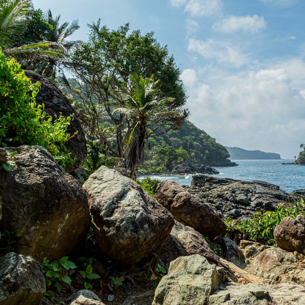 Galería Capurganá | hotel las Mañanitas