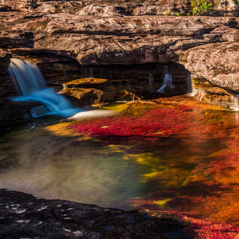 Galería Caño Cristales