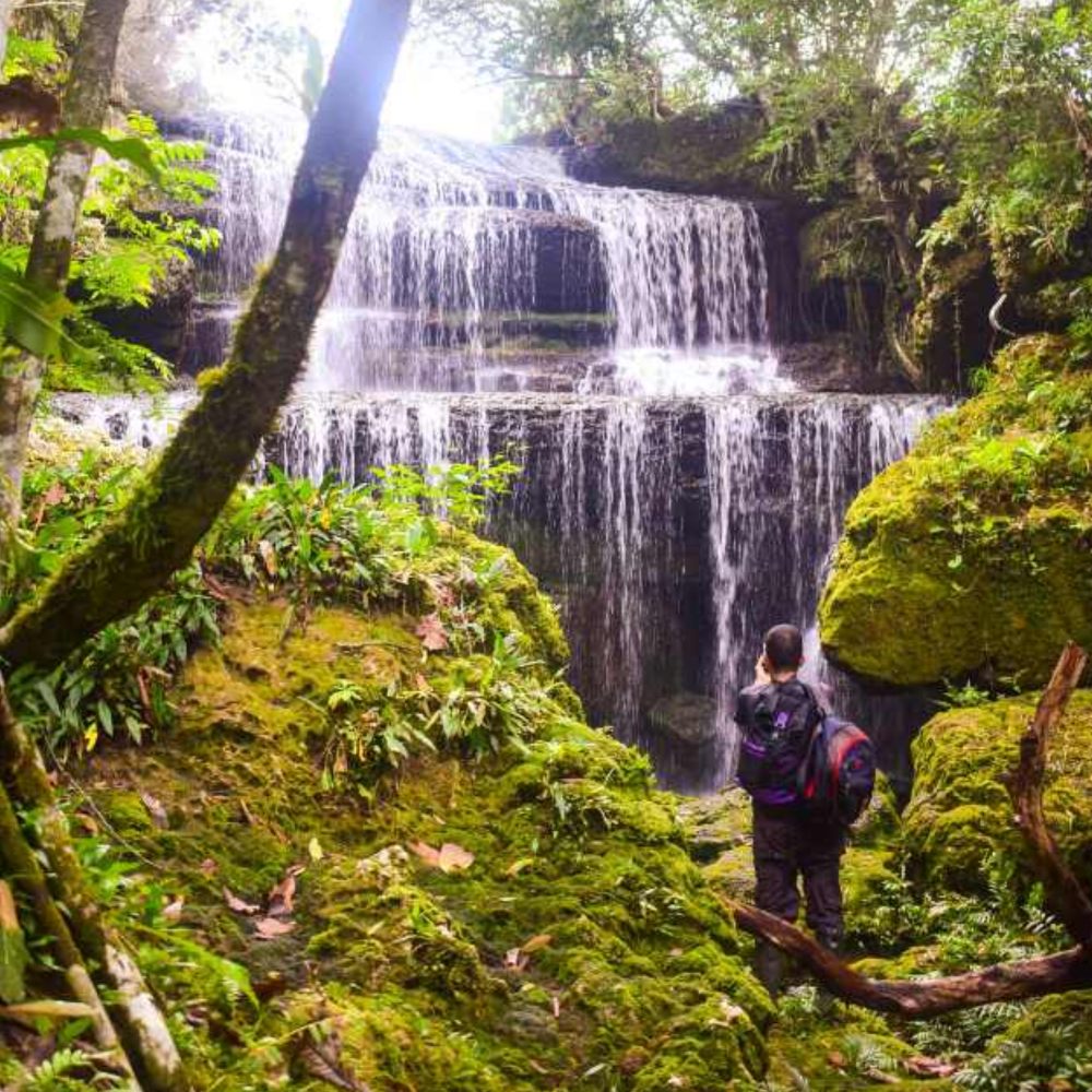 Galería Plan Eco Guaviare