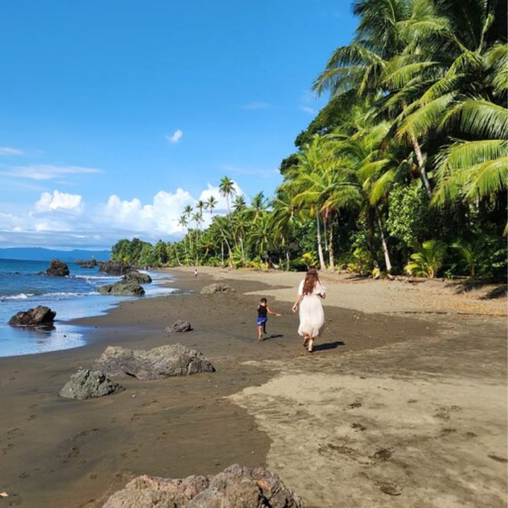 Galería Vive Ecohotel la Bayka Nuquí