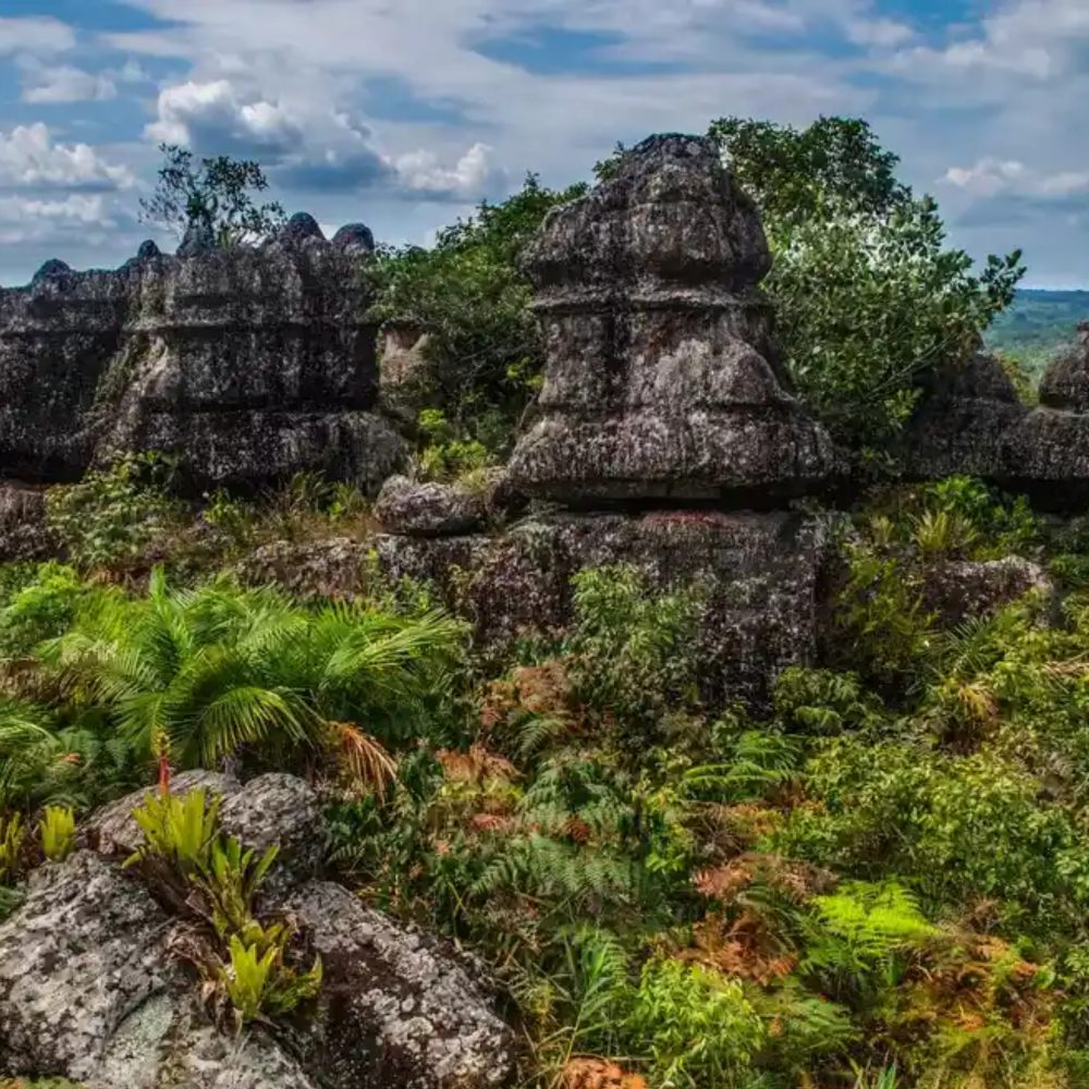 Galería Plan Eco Guaviare