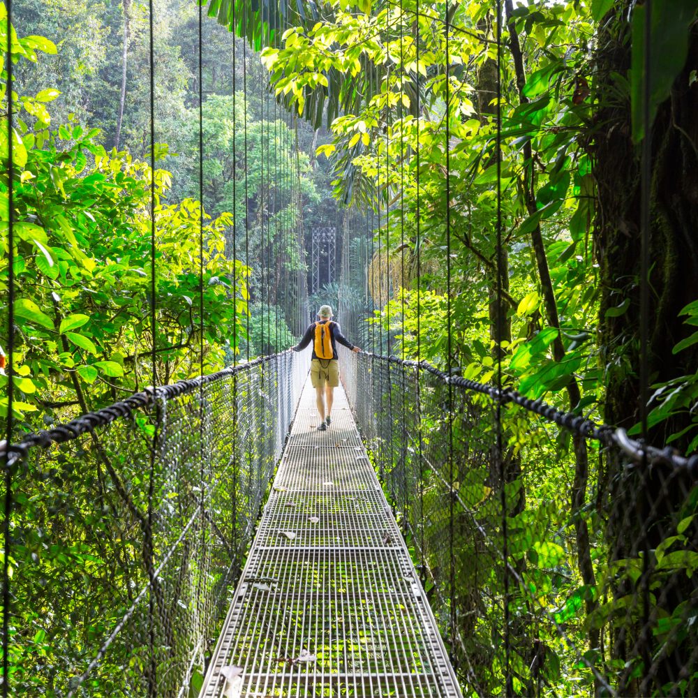 Galería Amazonas de Mistério y Aventura