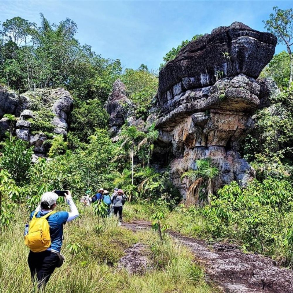 Galería Plan Eco Guaviare