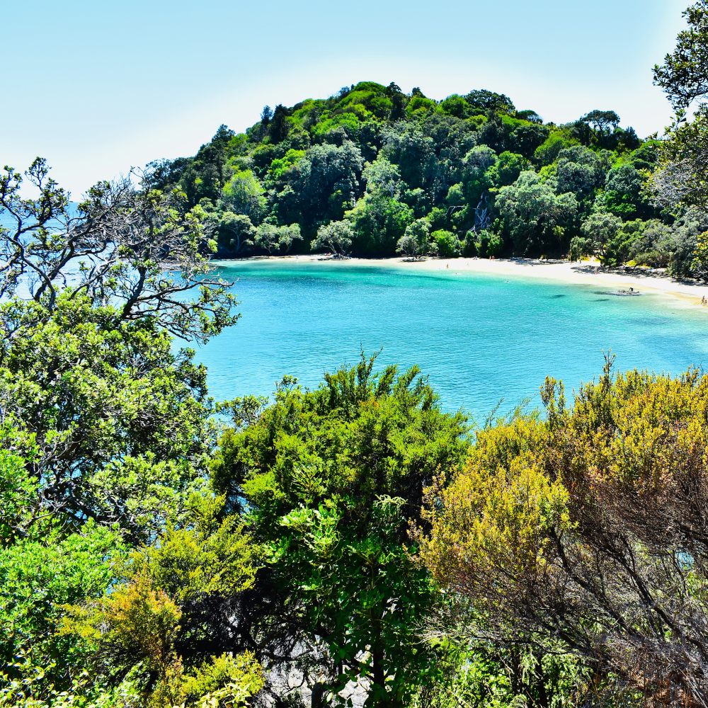 Galería Aventura en Bahía Solano | Avistamiento de Ballenas