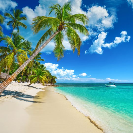 Galería Viaja a Punta Cana inolvidable