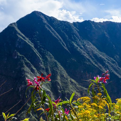 Galería Peru de Aventura Lima – Cusco