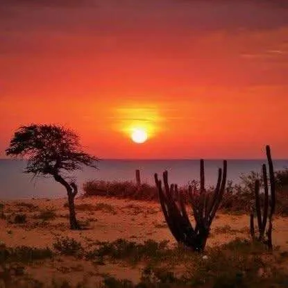 Galería Encantos de la Guajira