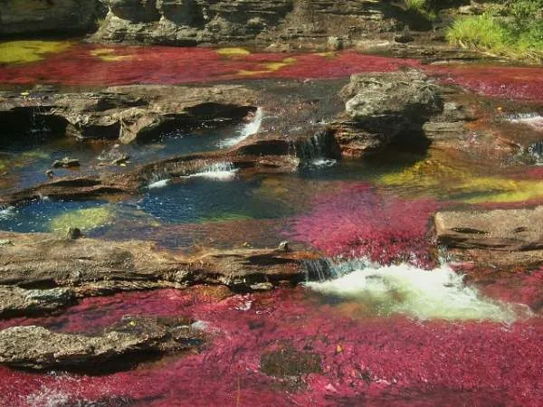 La Magia de Caño Cristales