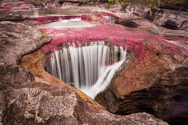 Galería La Magia de Caño Cristales