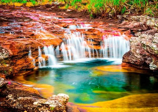 Galería La Magia de Caño Cristales