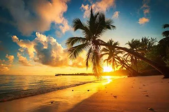 Galería Punta Cana de Ensueño