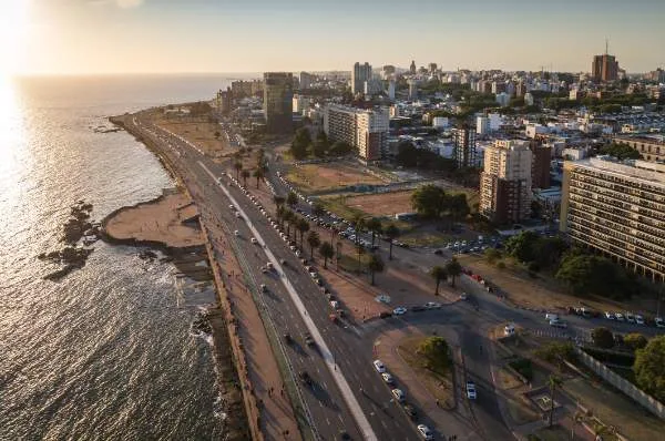Galería Vive la Gran Final Continental 2026 – Montevideo